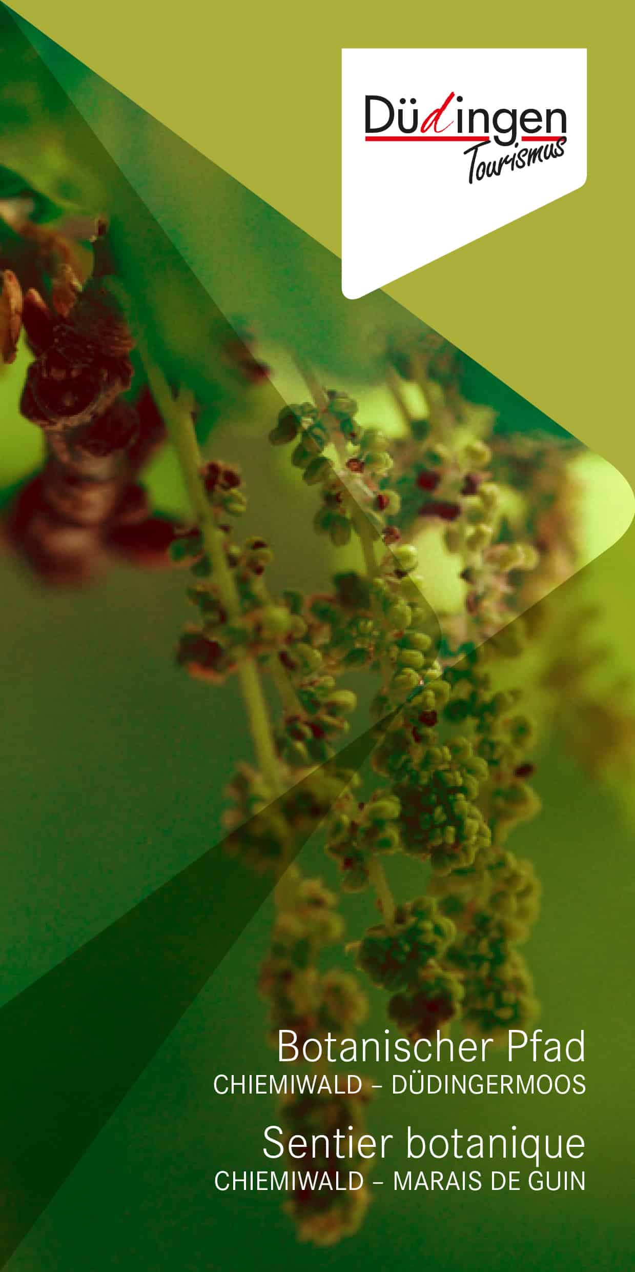 rz_botanischer_pfad-1